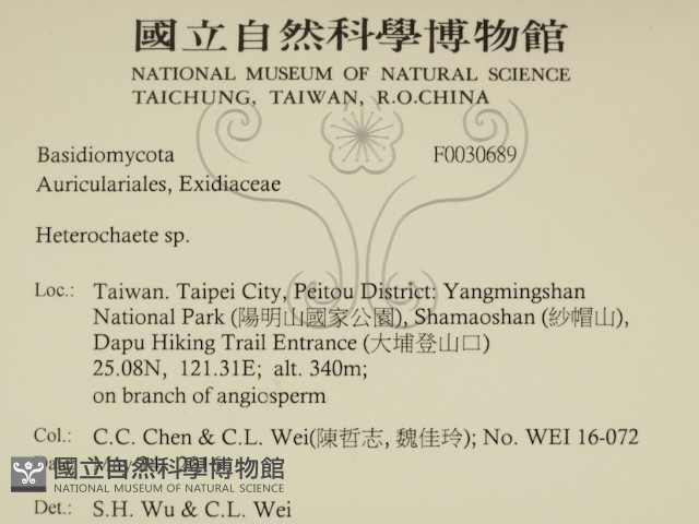 刺皮菌屬藏品圖，第2張