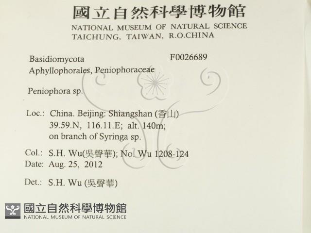 筍殼菌屬藏品圖，第2張