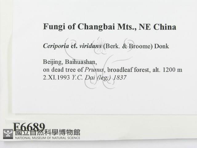 登錄號:F0006689藏品圖，第2張