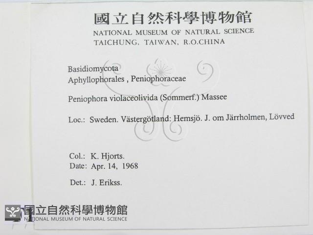 登錄號:F0016689藏品圖，第2張