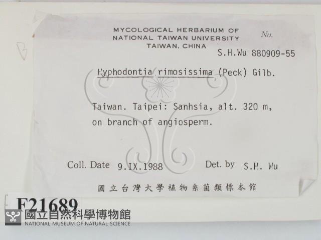 登錄號:F0021689藏品圖，第2張