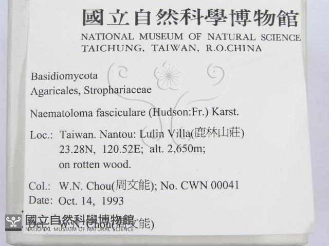登錄號:F0001689藏品圖，第2張
