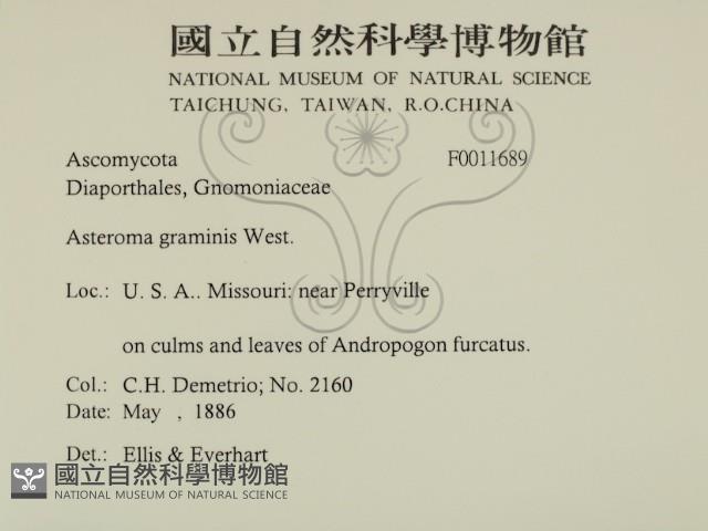登錄號:F0011689藏品圖，第2張