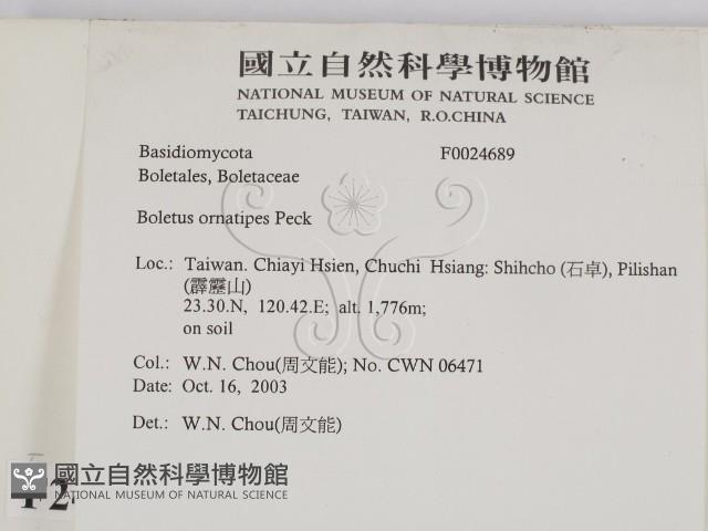 登錄號:F0024689藏品圖，第2張