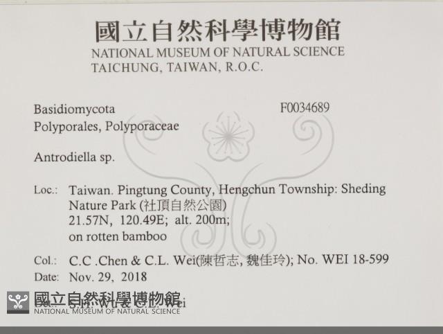 登錄號:F0034689藏品圖，第2張