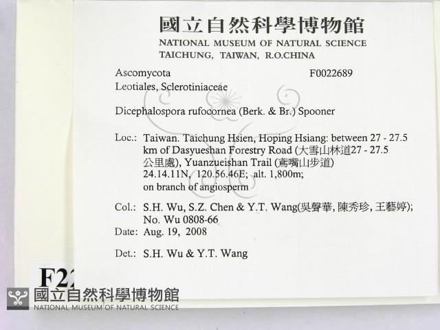 登錄號:F0022689藏品圖，第2張