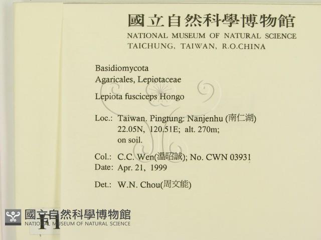 登錄號:F0012689藏品圖，第2張
