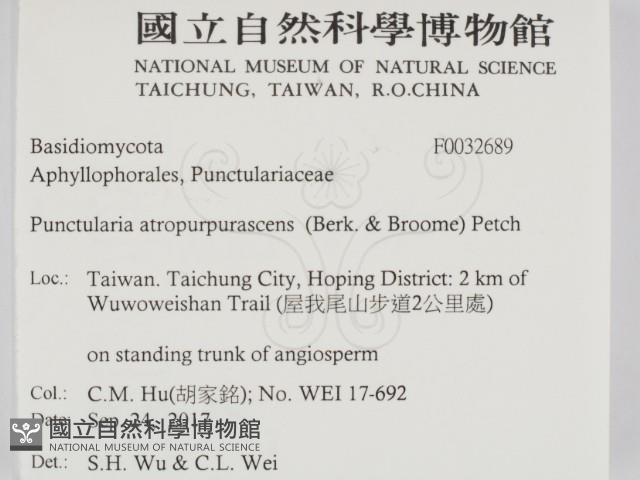 登錄號:F0032689藏品圖，第2張