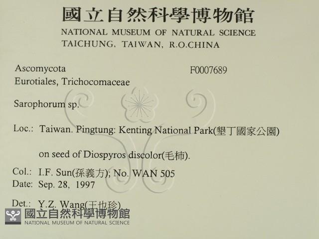 登錄號:F0007689藏品圖，第2張