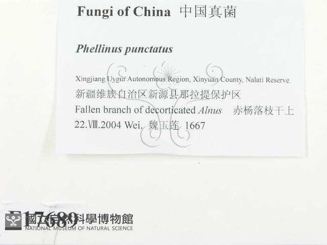 登錄號:F0017689藏品圖，第2張