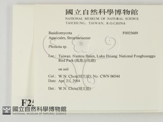 登錄號:F0025689藏品圖，第2張