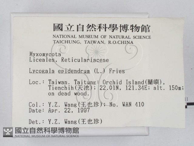 登錄號:F0005689藏品圖，第2張