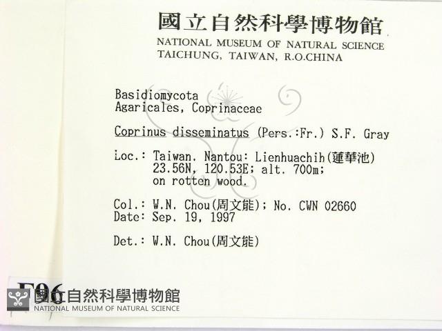 登錄號:F0009689藏品圖，第2張