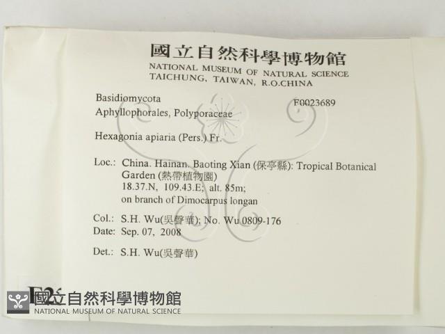 登錄號:F0023689藏品圖，第2張