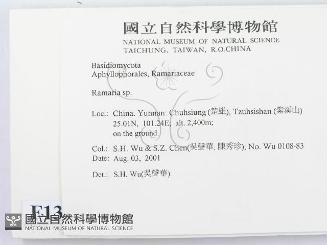 登錄號:F0013689藏品圖，第2張
