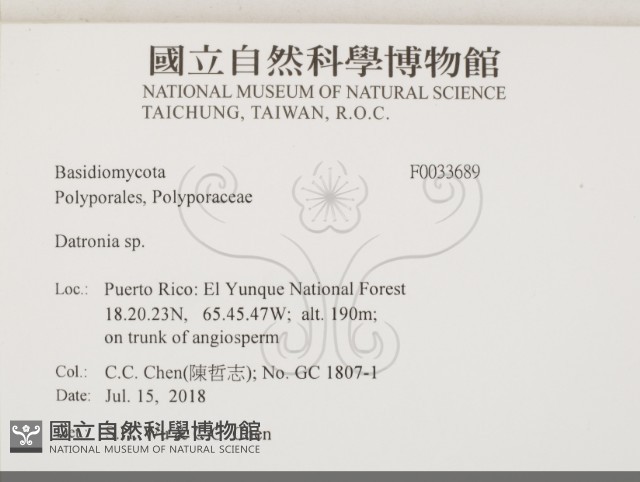 登錄號:F0033689藏品圖，第2張