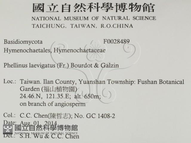 登錄號:F0028489藏品圖，第2張