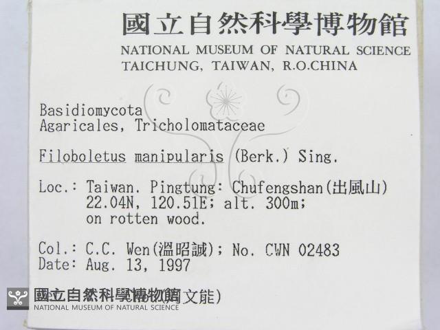 登錄號:F0008489藏品圖，第2張