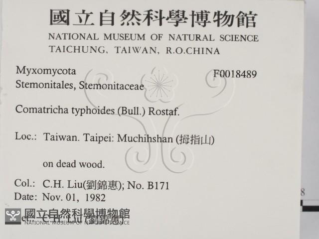 登錄號:F0018489藏品圖，第2張