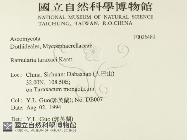 登錄號:F0026489藏品圖，第2張