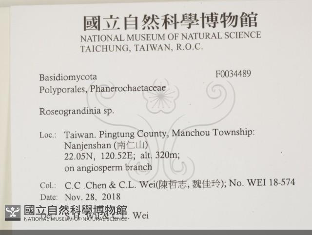 登錄號:F0034489藏品圖，第2張