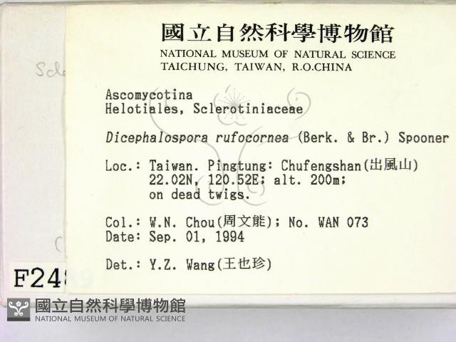 登錄號:F0002489藏品圖，第2張