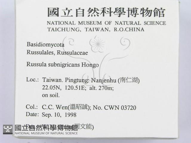 登錄號:F0012489藏品圖，第2張
