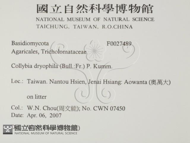 登錄號:F0027489藏品圖，第2張