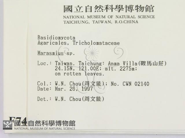 小皮傘屬藏品圖，第2張