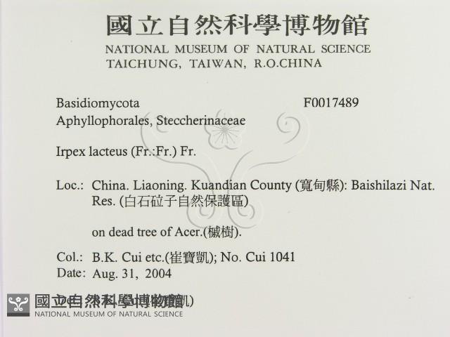 登錄號:F0017489藏品圖，第2張