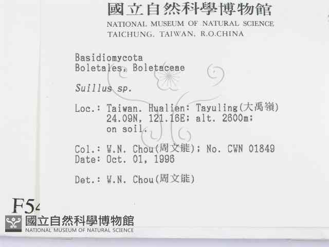 登錄號:F0005489藏品圖，第2張