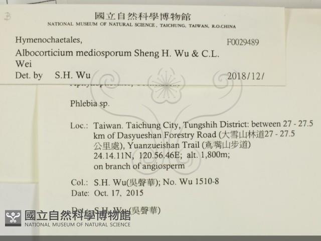 登錄號:F0029489藏品圖，第2張
