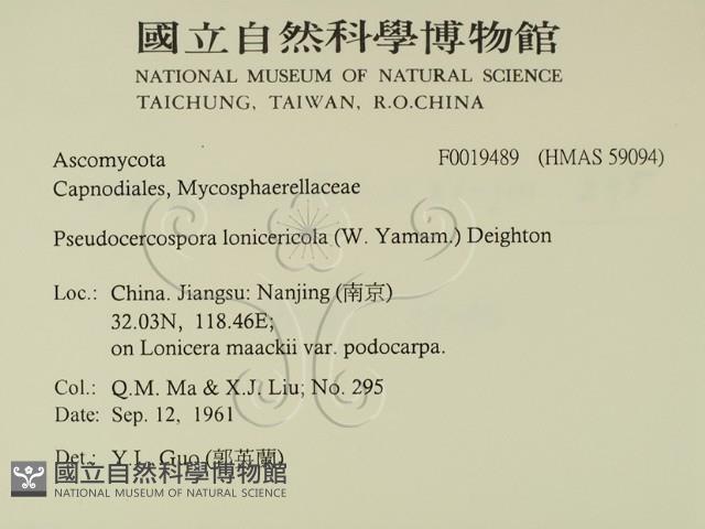 館號:F0019489藏品圖，第2張