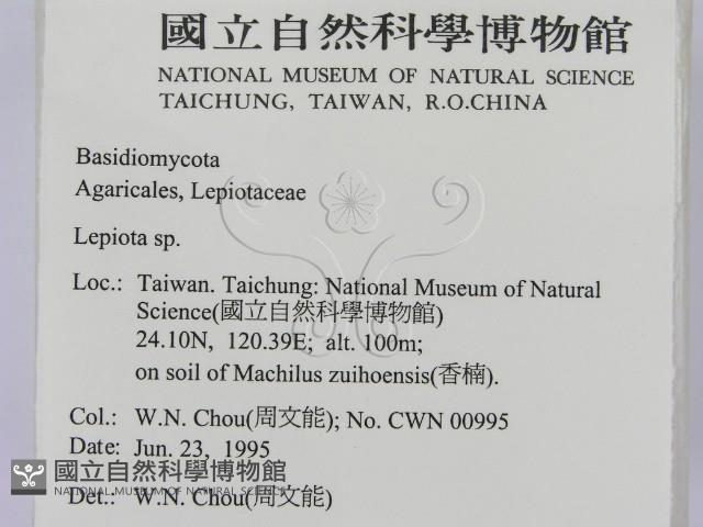 登錄號:F0003489藏品圖，第2張