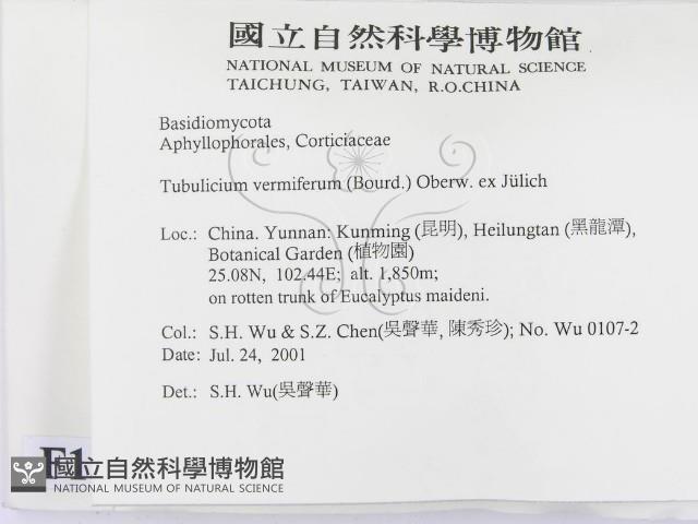 登錄號:F0013489藏品圖，第2張