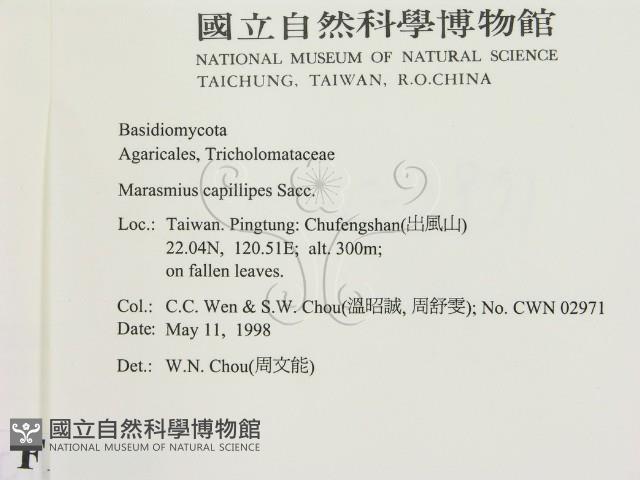 Accession Number:F0010789 Collection Image, Figure 2, Total 2 Figures