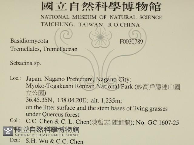 登錄號:F0030789藏品圖，第2張