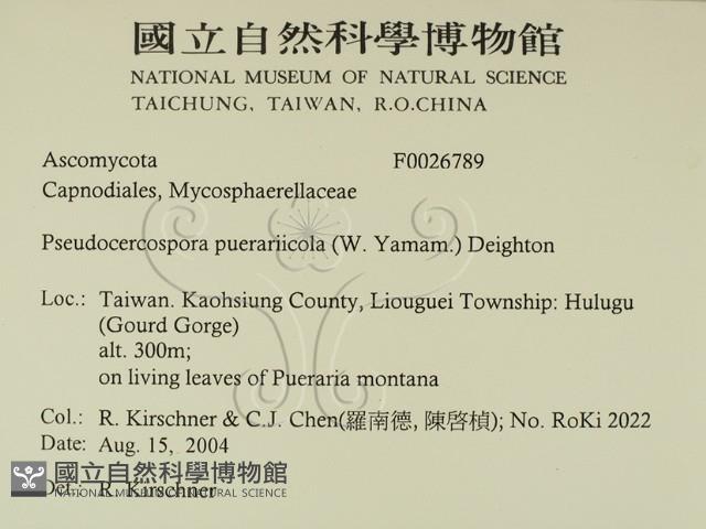 登錄號:F0026789藏品圖，第2張