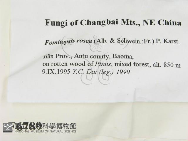 登錄號:F0006789藏品圖，第2張