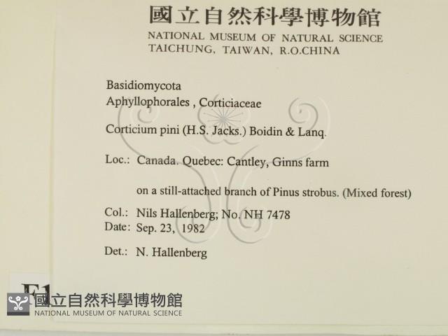 登錄號:F0016789藏品圖，第2張