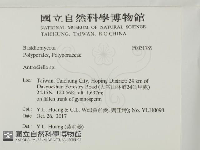 登錄號:F0031789藏品圖，第2張