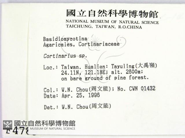 登錄號:F0004789藏品圖，第2張