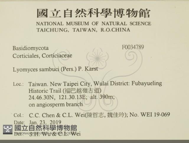 登錄號:F0034789藏品圖，第2張