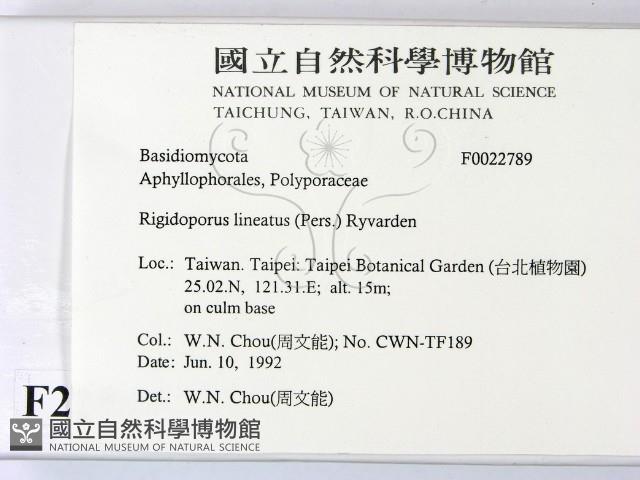 登錄號:F0022789藏品圖，第2張