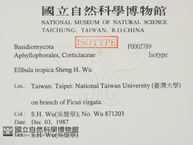 登錄號:F0002789藏品圖，第2張