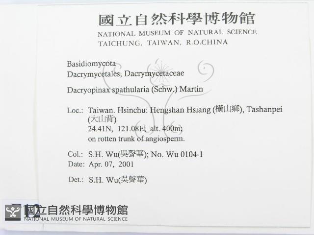 登錄號:F0012789藏品圖，第2張