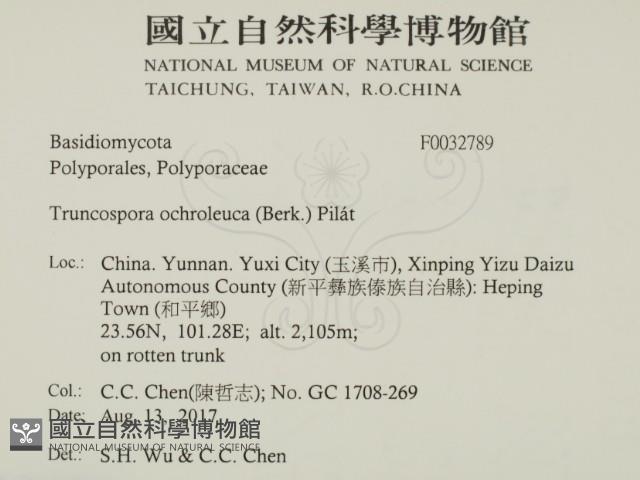 登錄號:F0032789藏品圖，第2張