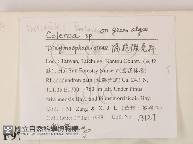 登錄號:F0009789藏品圖，第2張