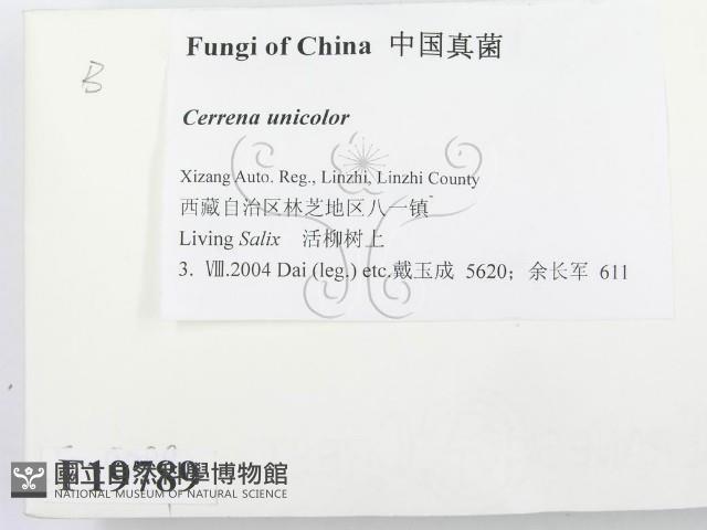 登錄號:F0019789藏品圖，第2張