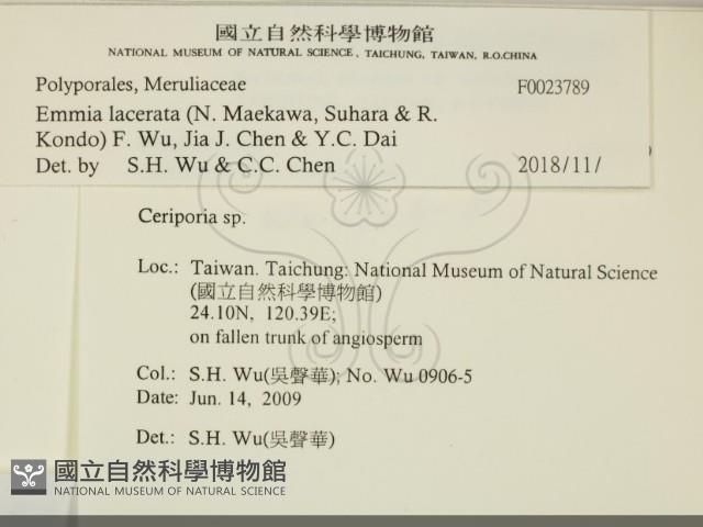 登錄號:F0023789藏品圖，第2張